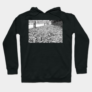Path along the River Ant, Norfolk Hoodie